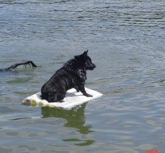 Magic (Ruby's Grandsire)